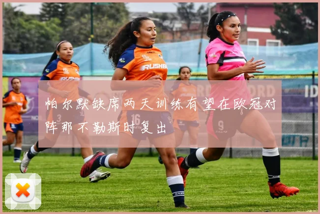 帕尔默缺席两天训练有望在欧冠对阵那不勒斯时复出