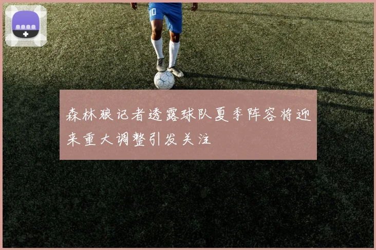 森林狼记者透露球队夏季阵容将迎来重大调整引发关注